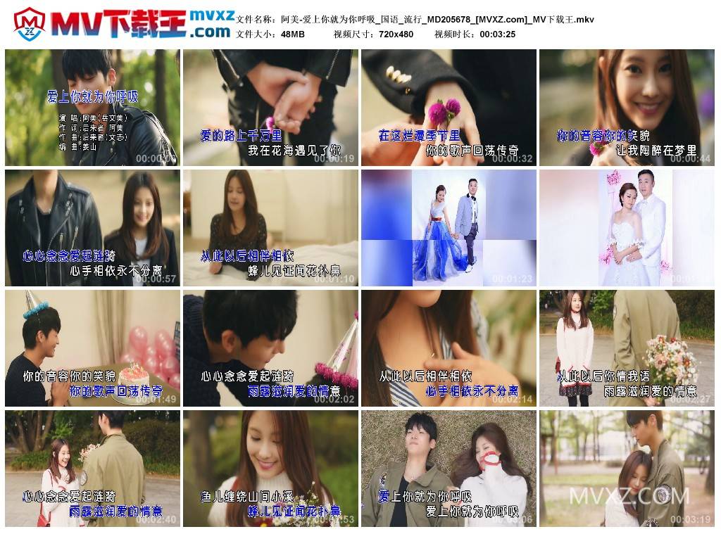 阿美-爱上你就为你呼吸_国语_流行_MD205678